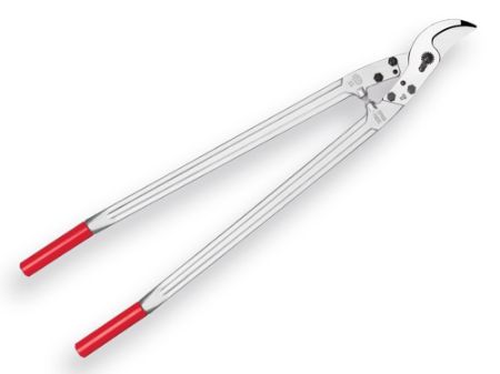 Afbeelding voor categorie Takkenscharen